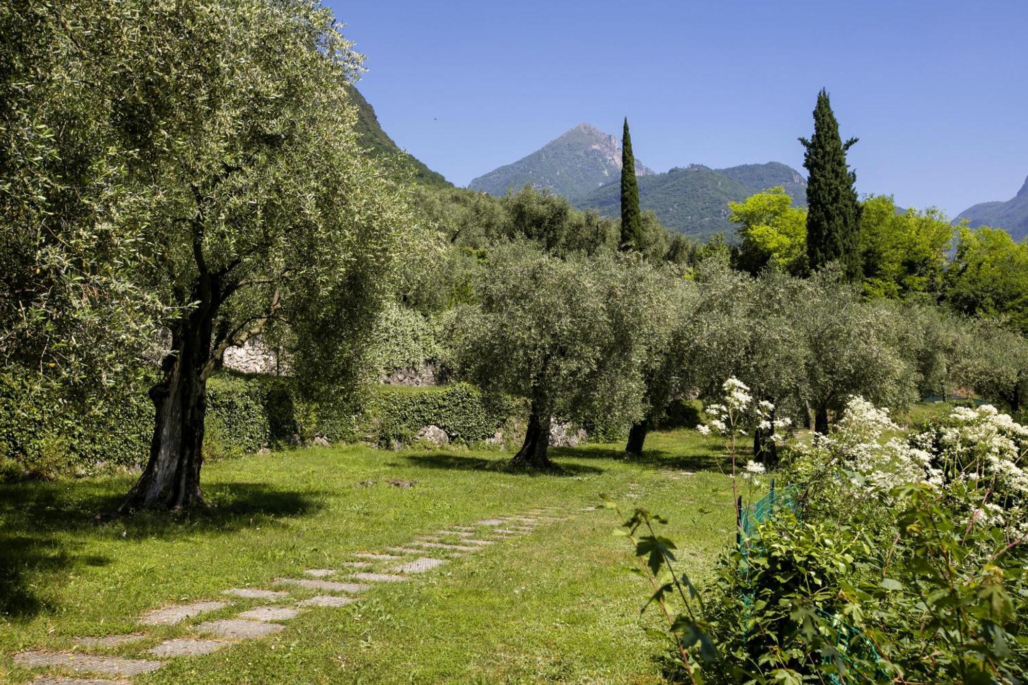 Lake View Dom-Us Apartment - Happy Rentals Riva del Garda Kültér fotó
